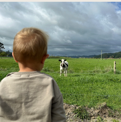 Nature, is it the ultimate sensory playground?