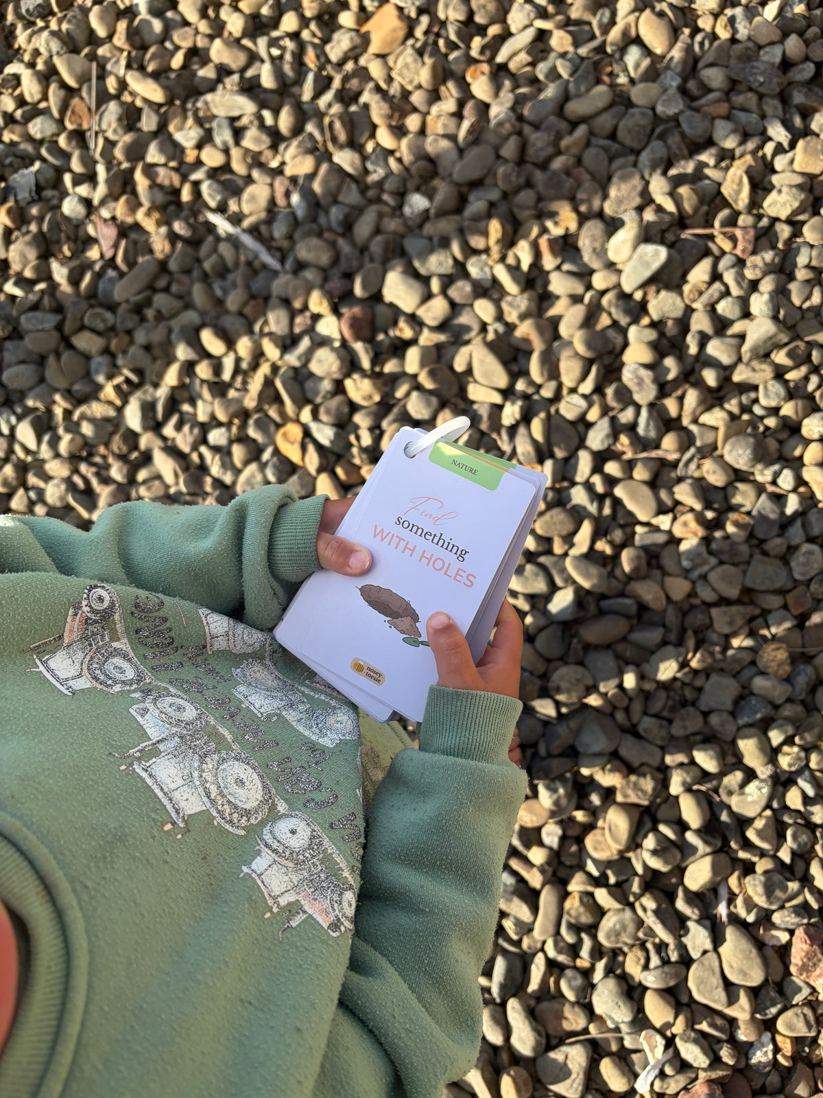 A child outdoors on a bed of small pebbles holding Wild Wander Cards from Nosey Toesie with the words "find something with holes". 