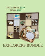Baby play mat and a wooden instrument set