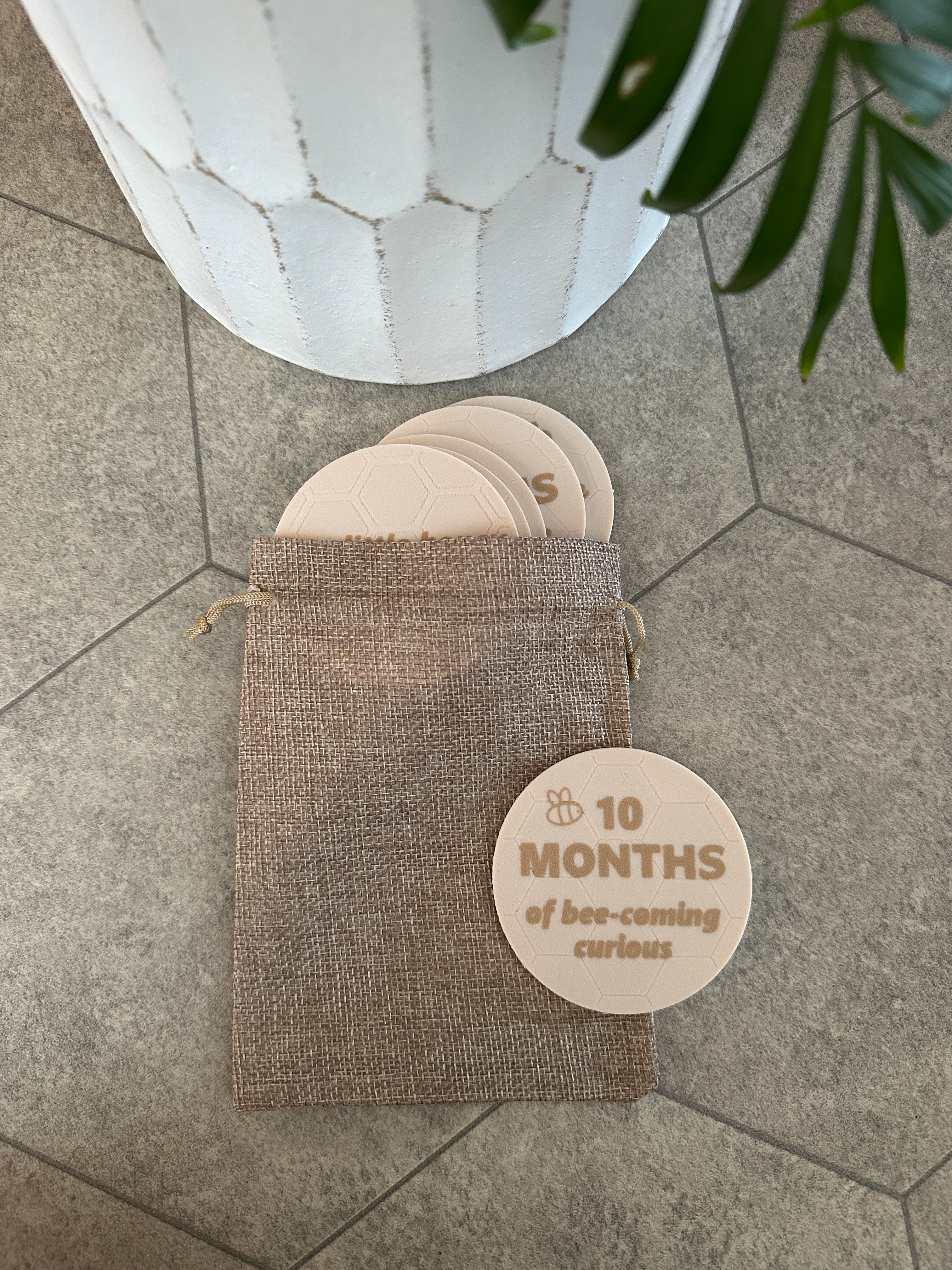 Brown fabric carry bag with a round baby milestone cards, featuring a '10 months' label.
